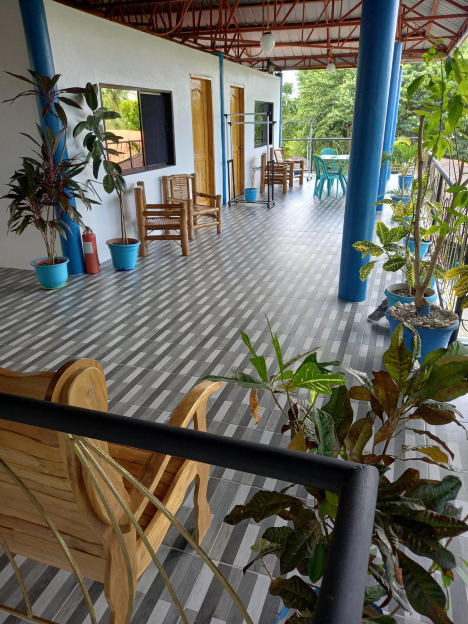 Happy Bear Moalboal Budget Rooms Екстер'єр фото